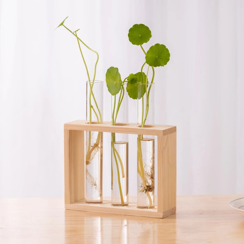 Innovative Hydroponic Bonsai Garden Set – Wooden Frame & Glass Vases for Stylish Desktop Décor & DIY Craft