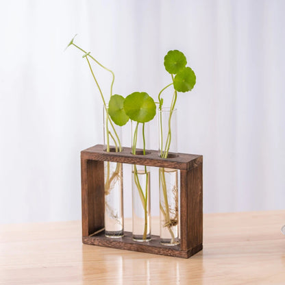 Innovative Hydroponic Bonsai Garden Set – Wooden Frame & Glass Vases for Stylish Desktop Décor & DIY Craft