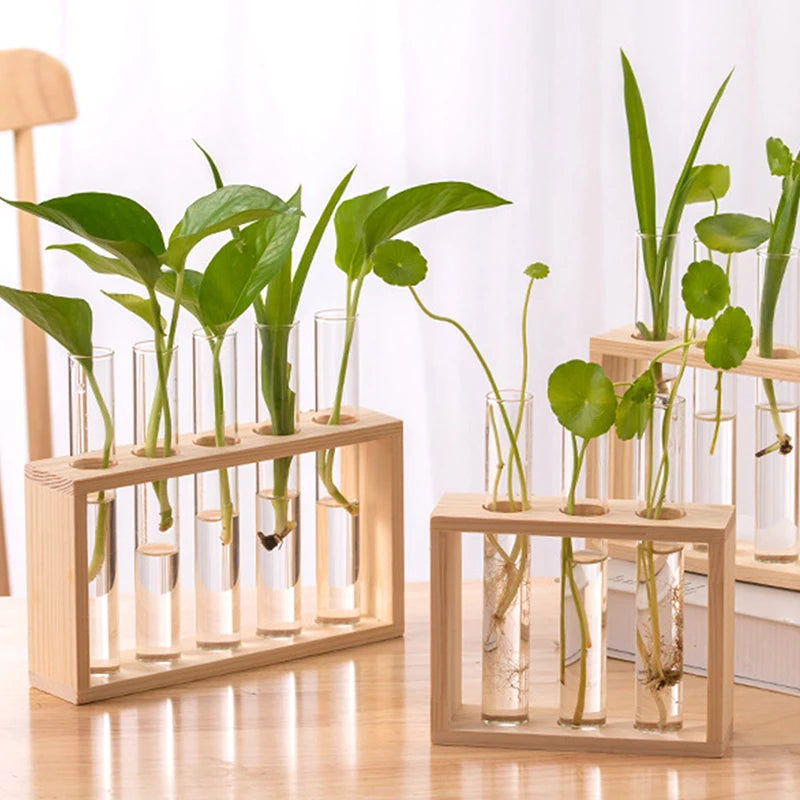 Innovative Hydroponic Bonsai Garden Set – Wooden Frame & Glass Vases for Stylish Desktop Décor & DIY Craft