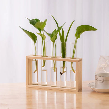 Innovative Hydroponic Bonsai Garden Set – Wooden Frame & Glass Vases for Stylish Desktop Décor & DIY Craft