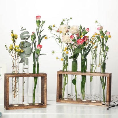 Innovative Hydroponic Bonsai Garden Set – Wooden Frame & Glass Vases for Stylish Desktop Décor & DIY Craft