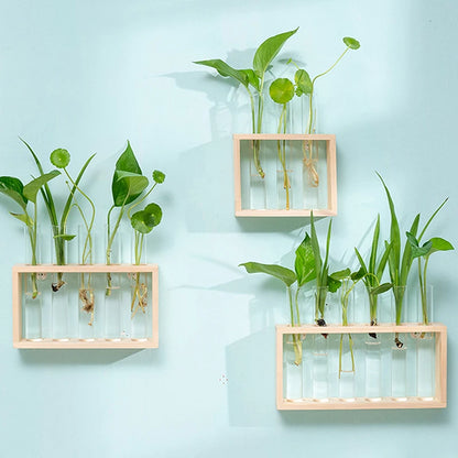 Innovative Hydroponic Bonsai Garden Set – Wooden Frame & Glass Vases for Stylish Desktop Décor & DIY Craft