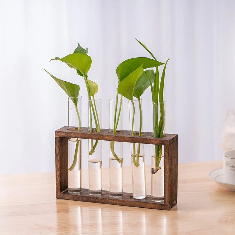 Innovative Hydroponic Bonsai Garden Set – Wooden Frame & Glass Vases for Stylish Desktop Décor & DIY Craft