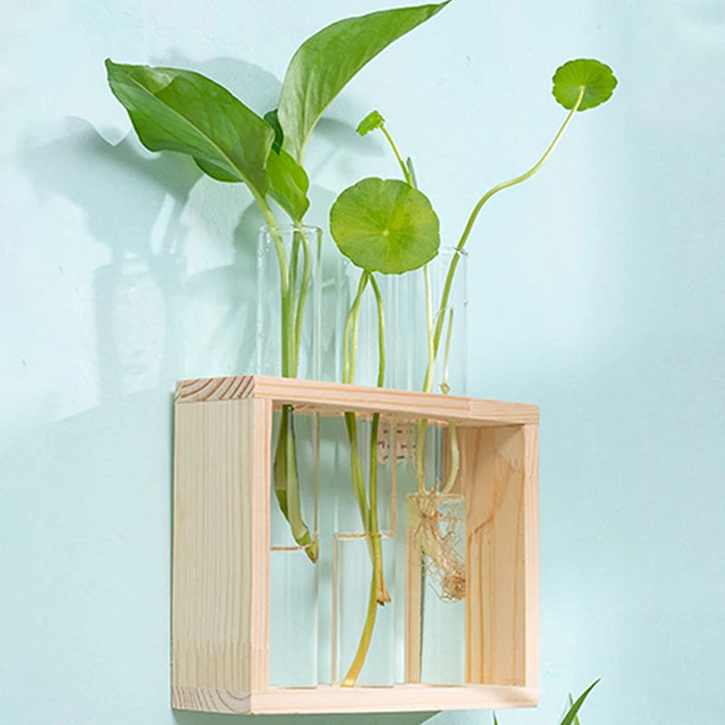 Innovative Hydroponic Bonsai Garden Set – Wooden Frame & Glass Vases for Stylish Desktop Décor & DIY Craft