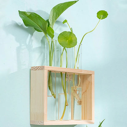 Innovative Hydroponic Bonsai Garden Set – Wooden Frame & Glass Vases for Stylish Desktop Décor & DIY Craft