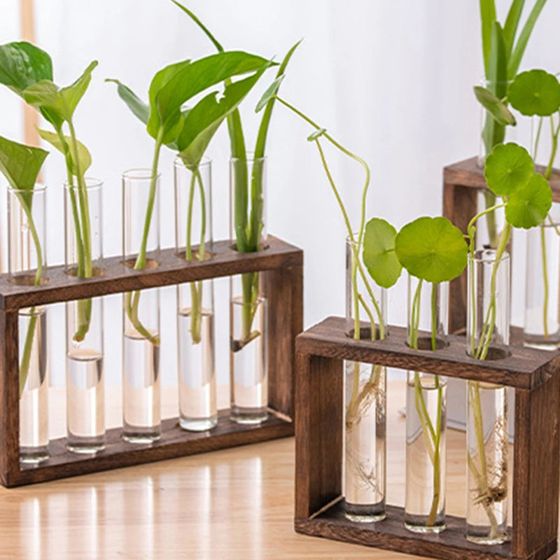 Innovative Hydroponic Bonsai Garden Set – Wooden Frame & Glass Vases for Stylish Desktop Décor & DIY Craft